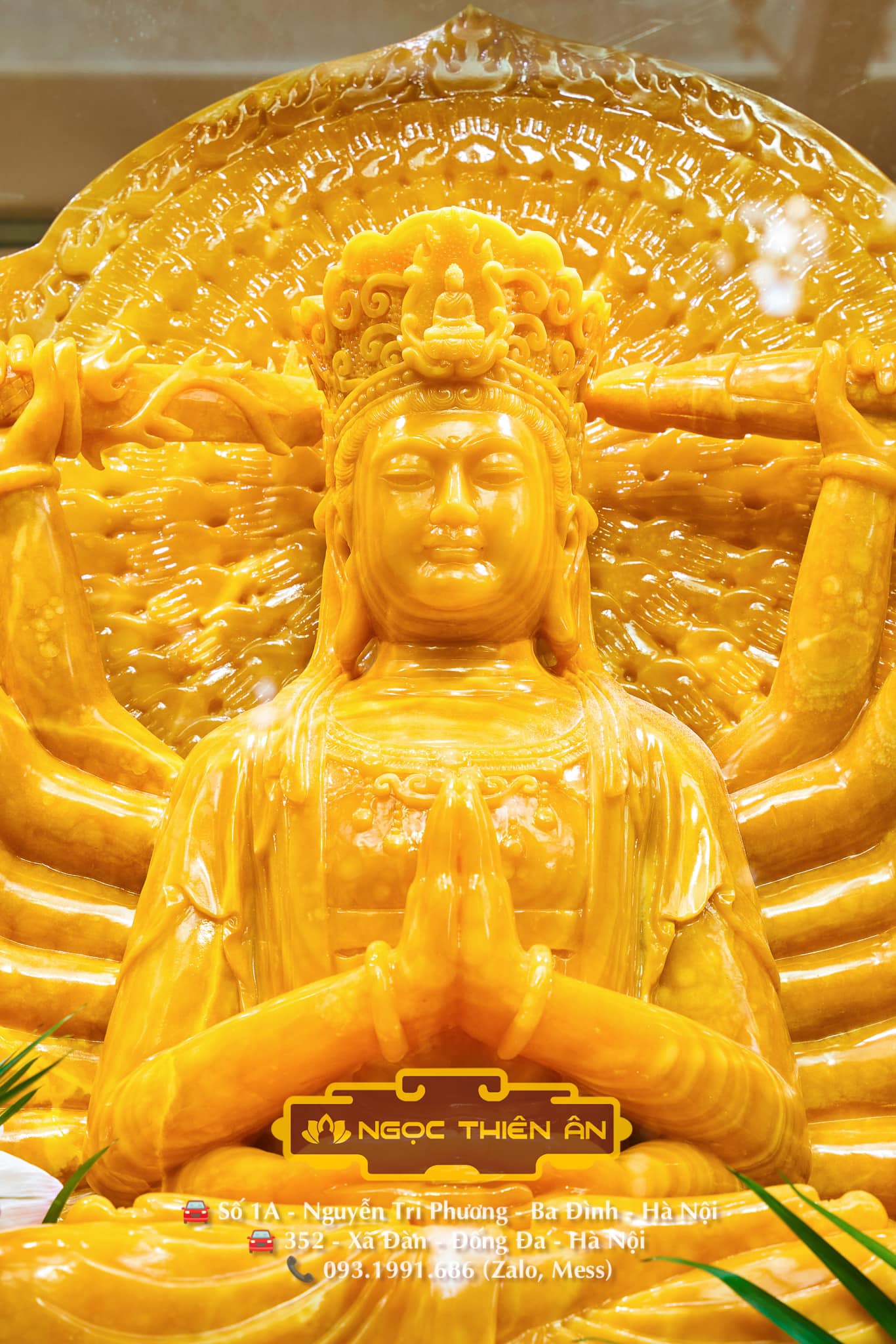 447591401_351307188061969_2053505578768330613_n (2)