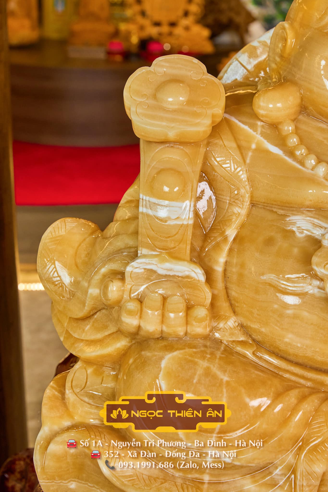 428605683_249593004900055_5502877956377205295_n